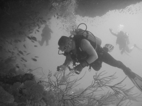 TEK ZONE Nouvelle-Calédonie magasin plongée sous-marine Nouméa